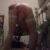 Profile picture of SissyAshley4BBC