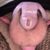 Profile picture of sissynets