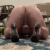 Profile picture of Evee