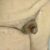 Profile picture of raeraesissy