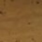 Profile picture of Phatbootyboi