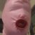 Profile picture of Sissycoxex