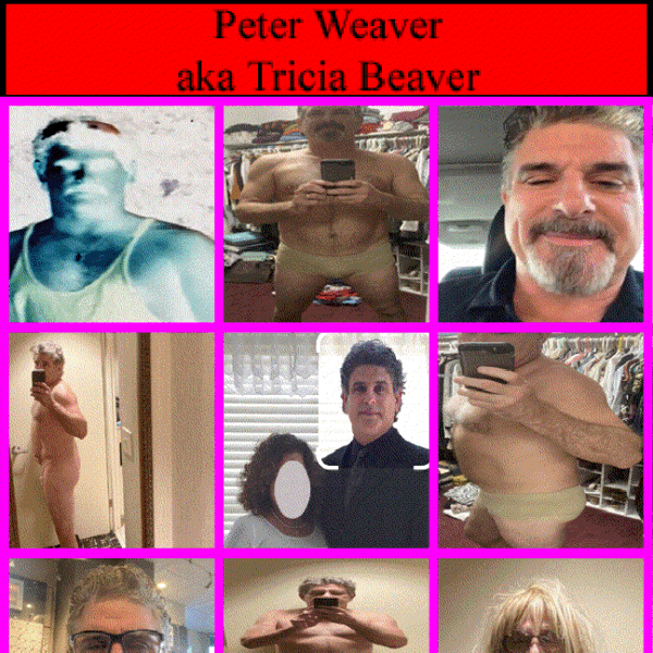 PW Grid 3 basic 3 gif’ w bg